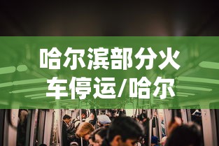 哈尔滨部分火车停运/哈尔滨部分火车停运最新消息