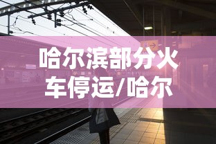 哈尔滨部分火车停运/哈尔滨部分火车停运最新消息