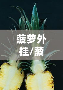 山东新增本土31例/山东,新增 山东新增本土31例/山东,新增