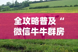 全攻略普及“微信牛牛群房卡怎么弄”房卡怎么购买