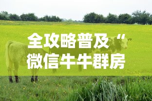 全攻略普及“微信牛牛群房卡怎么弄”房卡怎么购买