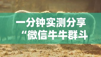 全攻略普及“牛牛链接房卡怎么购买”购买房卡介绍
