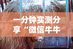 一分钟介绍使用“微信金花房卡哪里购买”详细房卡怎么购买教程 一分钟介绍使用“微信金花房卡哪里购买”详细房卡怎么购买教程