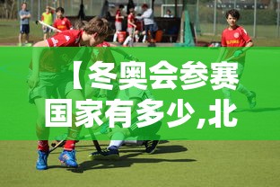 【冬奥会参赛国家有多少,北京冬奥会参赛国家有多少】 【冬奥会参赛国家有多少,北京冬奥会参赛国家有多少】