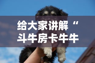 房卡秒懂“微信炸 金花房卡链接在哪弄”房卡使用教程