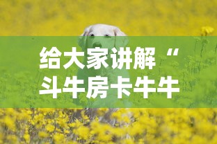 给大家讲解“斗牛房卡牛牛房卡”链接房卡怎么充值