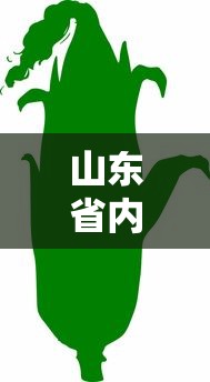 山东省内凭绿色健康码可以出行吗(山东的绿码叫什么) 山东省内凭绿色健康码可以出行吗(山东的绿码叫什么)