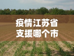 31省区市新增本土确诊28例(31省区市新增确诊30例本土12例) 31省区市新增本土确诊28例(31省区市新增确诊30例本土12例)
