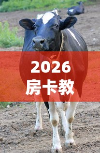 石家庄新增4例确诊病例(石家庄新增4例确诊病例是哪里的) 石家庄新增4例确诊病例(石家庄新增4例确诊病例是哪里的)