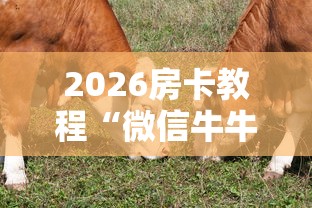 房卡必备教程“海贝之城拼三张房间卡”获取房卡教程-哔哩哔哩