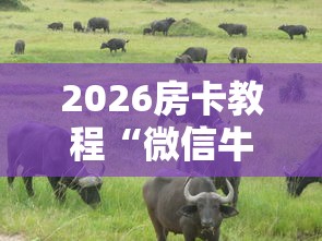 2026房卡教程“微信牛牛群斗牛群”链接房卡怎么充值 2026房卡教程“微信牛牛群斗牛群”链接房卡怎么充值