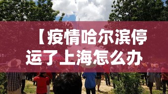 【疫情哈尔滨停运了上海怎么办,哈尔滨有没有疫情而停运】 【疫情哈尔滨停运了上海怎么办,哈尔滨有没有疫情而停运】