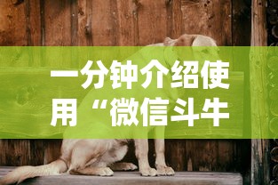 一分钟介绍使用“微信斗牛房卡怎么弄”购买房卡介绍 一分钟介绍使用“微信斗牛房卡怎么弄”购买房卡介绍