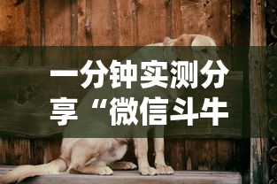 【内蒙古昨日新增本土确诊34例/内蒙古新增2例本土病例行动轨迹】