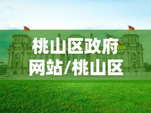 桃山区政府网站/桃山区区长