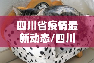四川省疫情最新动态/四川省疫情最新情况 最新消息 新增 四川省疫情最新动态/四川省疫情最新情况 最新消息 新增
