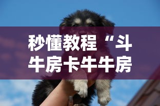 郑州师范学院返校时间/郑州师范学院返校时间表 郑州师范学院返校时间/郑州师范学院返校时间表