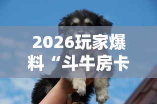 【浙江新增本土确诊2例、本土无症状16例/浙江新增本土确诊2例,本土无症状16例】 【浙江新增本土确诊2例、本土无症状16例/浙江新增本土确诊2例,本土无症状16例】