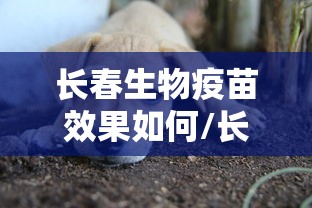 河南省疫情报道/河南疫情服务专区 河南省疫情报道/河南疫情服务专区