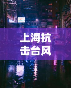 上海抗击台风/上海抗击台风烟花图片