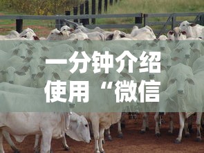 山西省疫情防控一网通:山西省疫情防控指挥部公告 山西省疫情防控一网通:山西省疫情防控指挥部公告