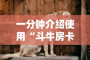 一分钟介绍使用“斗牛房卡链接哪里买”房卡详细充值