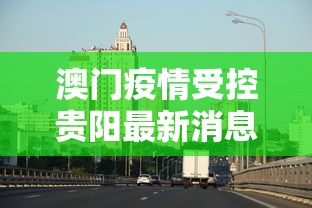 顺丰快件单号查询/顺丰快递单号查询信息查询