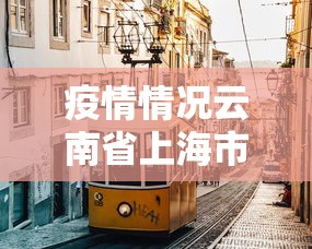 疫情情况云南省上海市最新情况/疫情情况云南省上海市最新情况查询 疫情情况云南省上海市最新情况/疫情情况云南省上海市最新情况查询