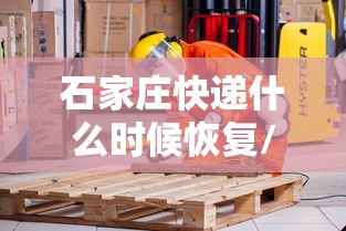 石家庄快递什么时候恢复/石家庄快递什么时候恢复正常 石家庄快递什么时候恢复/石家庄快递什么时候恢复正常
