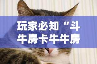 玩家必知“斗牛房卡牛牛房卡”详细房卡怎么购买教程