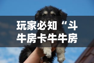 玩家必知“斗牛房卡牛牛房卡”详细房卡怎么购买教程