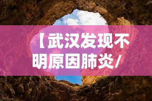【武汉发现不明原因肺炎/武汉发现不明原因肺炎病例】 【武汉发现不明原因肺炎/武汉发现不明原因肺炎病例】
