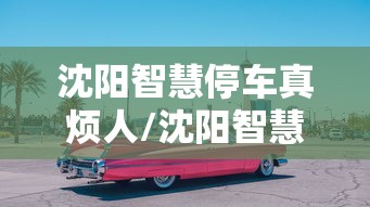 沈阳智慧停车真烦人/沈阳智慧停车惹众怒 沈阳智慧停车真烦人/沈阳智慧停车惹众怒
