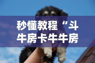 秒懂教程“斗牛房卡牛牛房卡”详细房卡教程