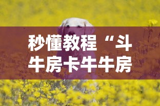 秒懂教程“斗牛房卡牛牛房卡”详细房卡教程