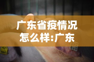 广东省疫情况怎么样:广东省疫情况怎么样最新消息 广东省疫情况怎么样:广东省疫情况怎么样最新消息