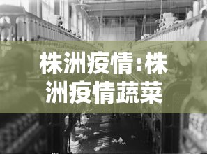 株洲疫情:株洲疫情蔬菜配送 株洲疫情:株洲疫情蔬菜配送