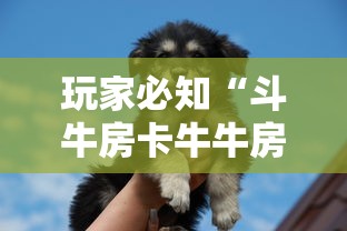 玩家必知“斗牛房卡牛牛房卡”详细房卡使用教程