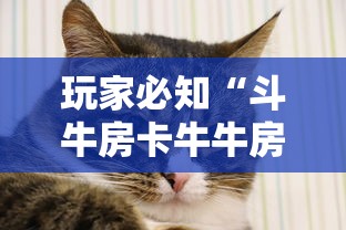 一分钟实测分享“新欢乐大厅金花房卡充值”如何获取房卡教程 一分钟实测分享“新欢乐大厅金花房卡充值”如何获取房卡教程