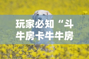 玩家必知“斗牛房卡牛牛房卡”详细房卡使用教程