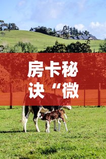 房卡秘诀“微信牛牛群斗牛群”房卡怎么购买