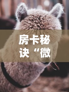 房卡秘诀“微信牛牛群斗牛群”房卡怎么购买