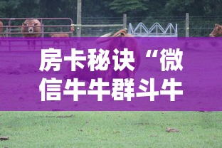 房卡秘诀“微信牛牛群斗牛群”房卡怎么购买