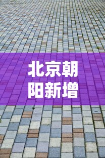 北京朝阳新增1例初筛阳性（北京朝阳新增1例新型肺炎病例）