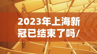2023年上海新冠已结束了吗/上海新冠23号