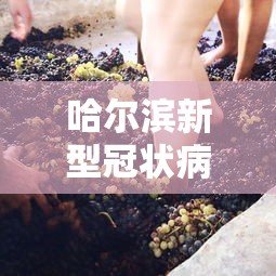 一分钟了解“蜜瓜大厅牛牛房卡充值”如何获取房卡教程 一分钟了解“蜜瓜大厅牛牛房卡充值”如何获取房卡教程
