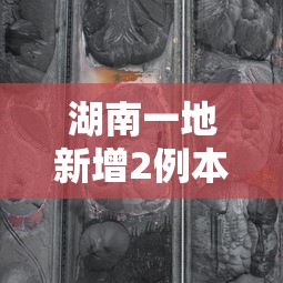 湖南一地新增2例本土无症状轨迹公布/湖南新增11例本土无症状 湖南一地新增2例本土无症状轨迹公布/湖南新增11例本土无症状
