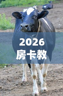 2026房卡教程“微信牛牛群斗牛群”购买房卡介绍
