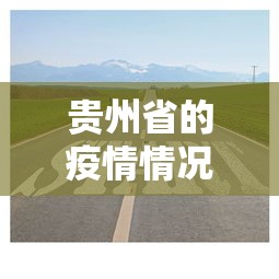 31省份新增本土确诊40例涉2省份/31省新增本土确诊病例40例 31省份新增本土确诊40例涉2省份/31省新增本土确诊病例40例
