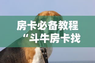 房卡必备教程“斗牛房卡找谁购买”购买房卡介绍